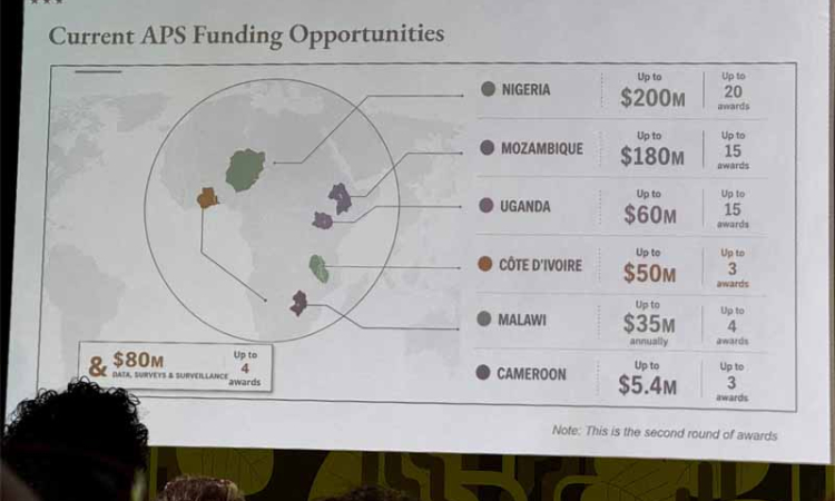 US government map of Africa mislabels  every country during global conference